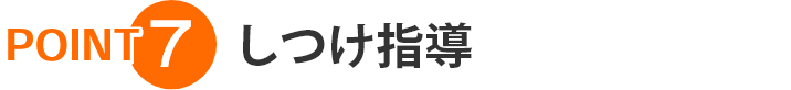 ポイント7